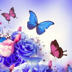 Meet your Posher, Della